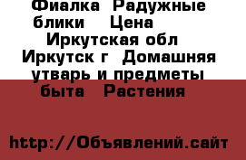 Фиалка “Радужные блики“ › Цена ­ 160 - Иркутская обл., Иркутск г. Домашняя утварь и предметы быта » Растения   